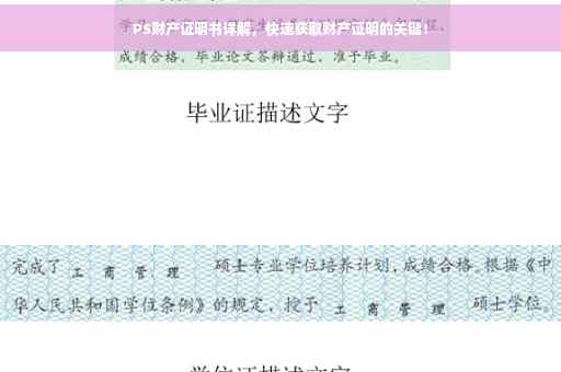 PS财产证明书详解，快速获取财产证明的关键！