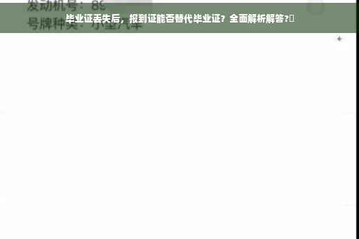 毕业证丢失后，报到证能否替代毕业证？全面解析解答?✨