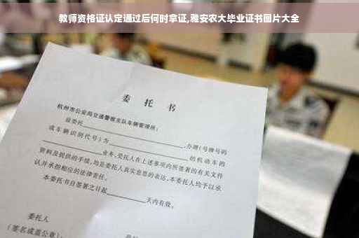教师资格证认定通过后何时拿证,雅安农大毕业证书图片大全