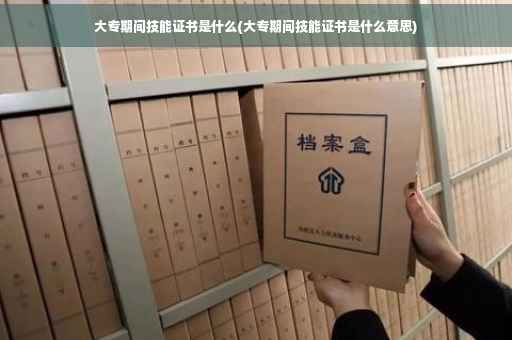 大专期间技能证书是什么(大专期间技能证书是什么意思)