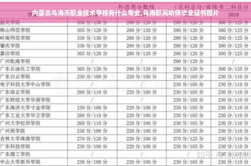 内蒙古乌海市职业技术学校有什么专业,乌海职高幼师毕业证书图片