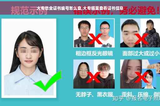 大专毕业证书编号怎么查,大专哪里查看证书信息