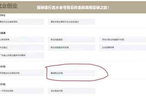 揭秘银行流水单号背后的金融真相探秘之旅！