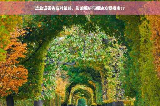 毕业证丢失应对策略，影响解析与解决方案指南??