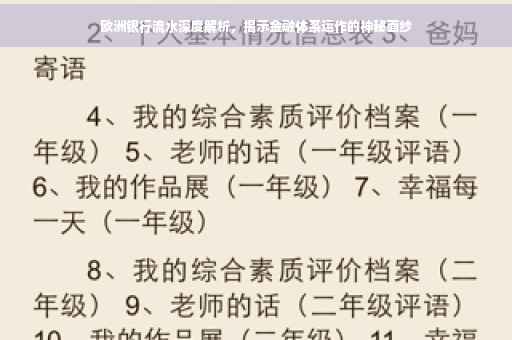 欧洲银行流水深度解析，揭示金融体系运作的神秘面纱