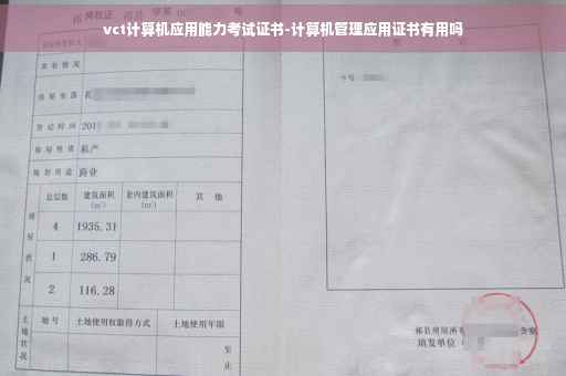 vct计算机应用能力考试证书-计算机管理应用证书有用吗