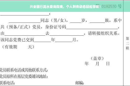 兴业银行流水查询指南，个人财务动态轻松掌握！