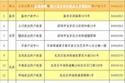 全面指南，银行流水审核要点与步骤解析