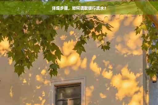 详细步骤，如何调取银行流水？