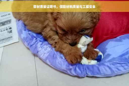 管材质量证明书，保障材料质量与工程安全