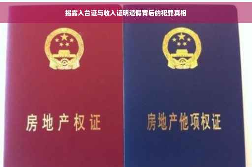 揭露入台证与收入证明造假背后的犯罪真相