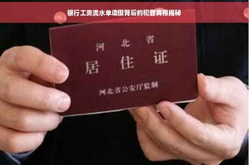 银行工资流水单造假背后的犯罪真相揭秘