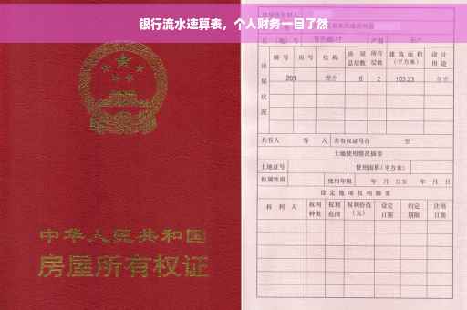 银行流水速算表，个人财务一目了然