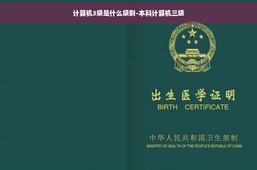 计算机3级是什么级别-本科计算机三级