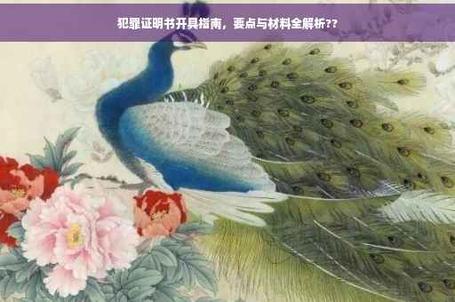 犯罪证明书开具指南，要点与材料全解析??