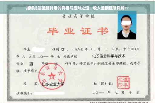 揭秘贫富差距背后的真相与应对之道，收入差额证明详解??