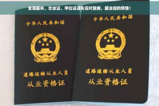 全面解析，毕业证、学位证遗失应对策略，解决你的烦恼！