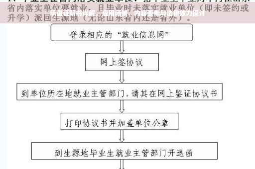 承重证明书详解，应用场景、内容要素与法律效力探讨