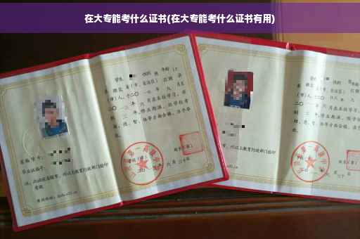 在大专能考什么证书(在大专能考什么证书有用)