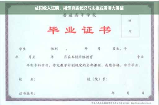 咸阳收入证明，揭示真实状况与未来发展潜力展望