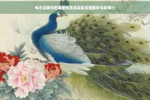 电台证明书的重要性及其实际应用解析与指南??