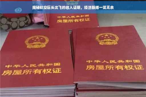 揭秘航空巨头沈飞的收入证明，经济脉搏一览无余
