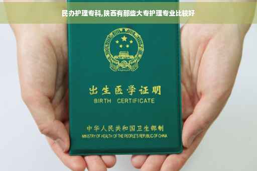 民办护理专科,陕西有那些大专护理专业比较好