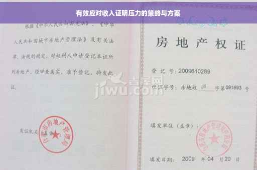 有效应对收入证明压力的策略与方案