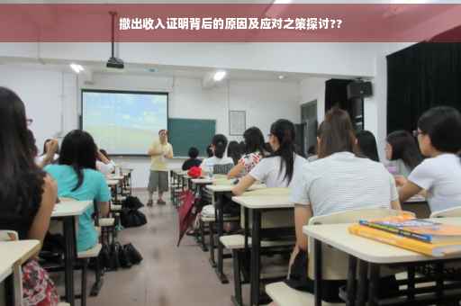 撤出收入证明背后的原因及应对之策探讨??