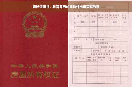 师长证明书，教育背后的辛勤付出与荣耀致敬