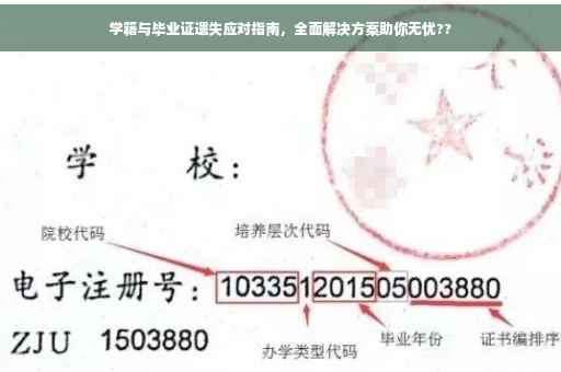 学籍与毕业证遗失应对指南，全面解决方案助你无忧??