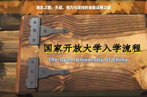 演员之路，天赋、努力与坚持的自我证明之旅