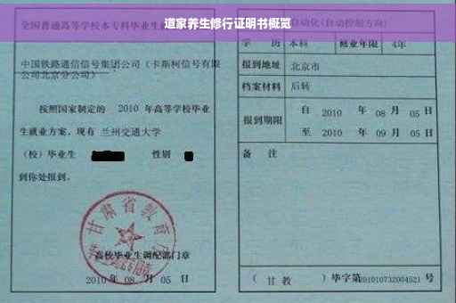道家养生修行证明书概览