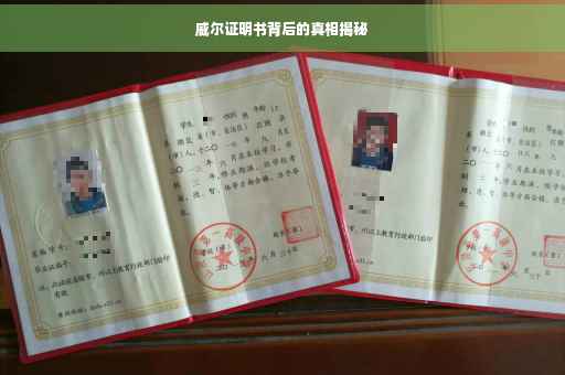 威尔证明书背后的真相揭秘