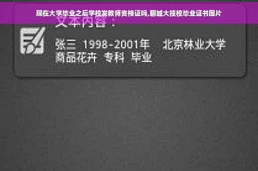 现在大学毕业之后学校发教师资格证吗,聊城大技校毕业证书图片
