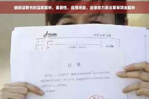 销毁证明书的深度解析，重要性、应用场景、法律效力及注意事项全解析