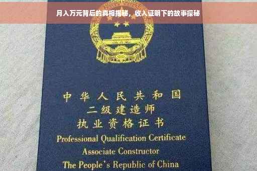 月入万元背后的真相揭秘，收入证明下的故事探秘
