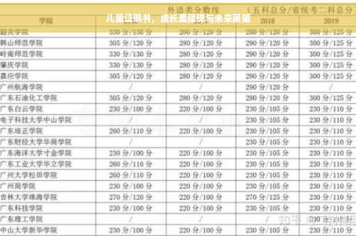 儿童证明书，成长里程碑与未来展望