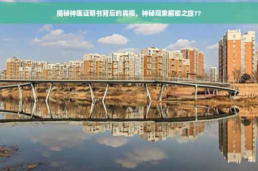 揭秘神医证明书背后的真相，神秘现象解密之旅??