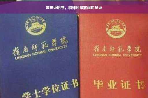 奔丧证明书，特殊回家旅程的见证