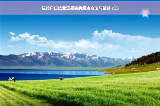 应对户口毕业证丢失的解决方法与策略 ?⚡️