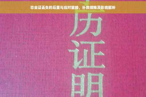 毕业证丢失的后果与应对策略，补救措施及影响解析