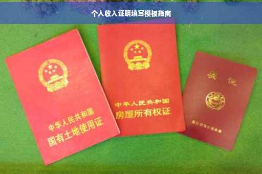 个人收入证明填写模板指南
