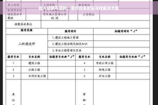 收入证明不足时，面对现实积极寻找解决方案
