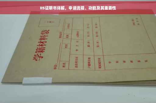 IIS证明书详解，申请流程、功能及其重要性