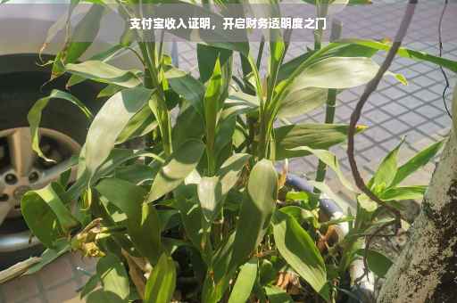 支付宝收入证明，开启财务透明度之门