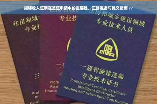 揭秘收入证明在签证申请中的重要性，正确准备与提交指南 ??