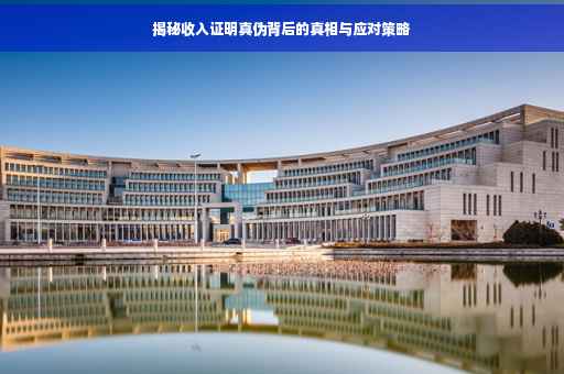 揭秘收入证明真伪背后的真相与应对策略