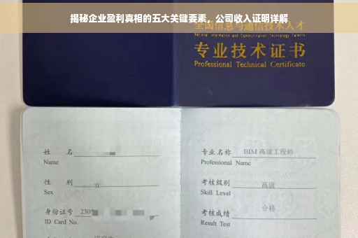 揭秘企业盈利真相的五大关键要素，公司收入证明详解