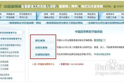 全面解读工资及收入证明，重要性、种类、格式与内容详解